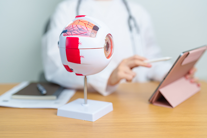 Can Glaucoma Be Prevented or Slowed?