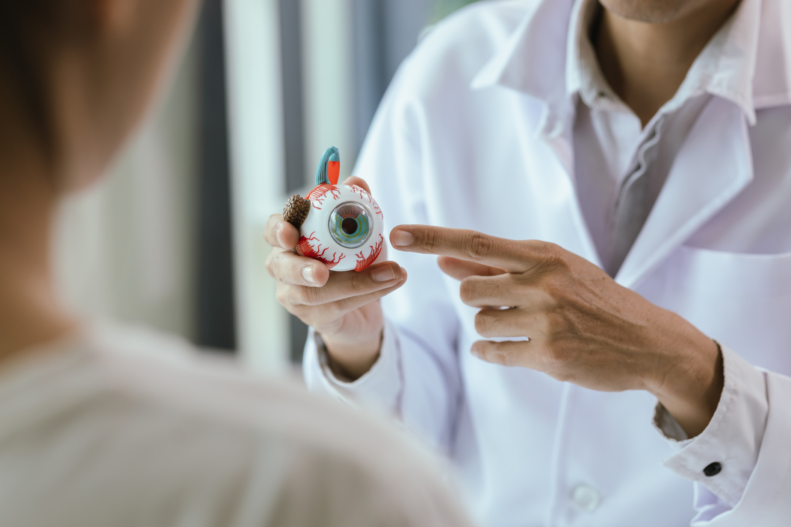 Ophthalmologist having a consultation with patient using eye model